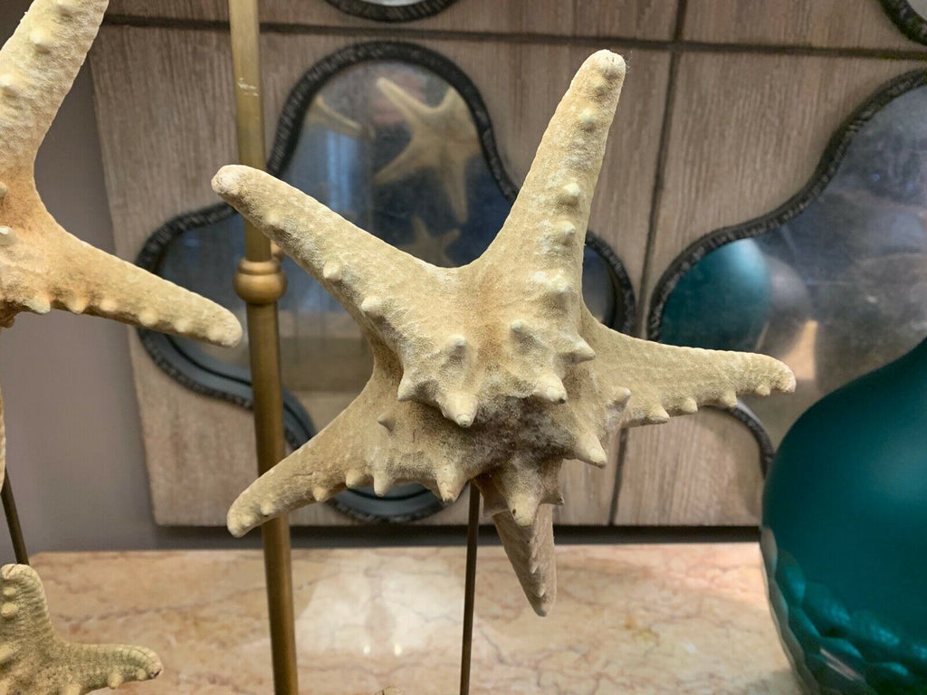 Isabelle Blizzard Starfish large table Lamp with shade rrp £1850