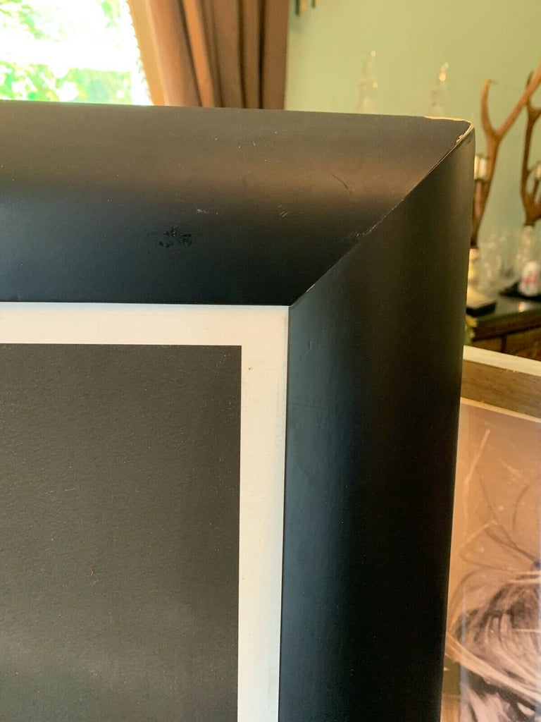 HUGE Amanda Eliasch oversized framed Art picture cost £4300