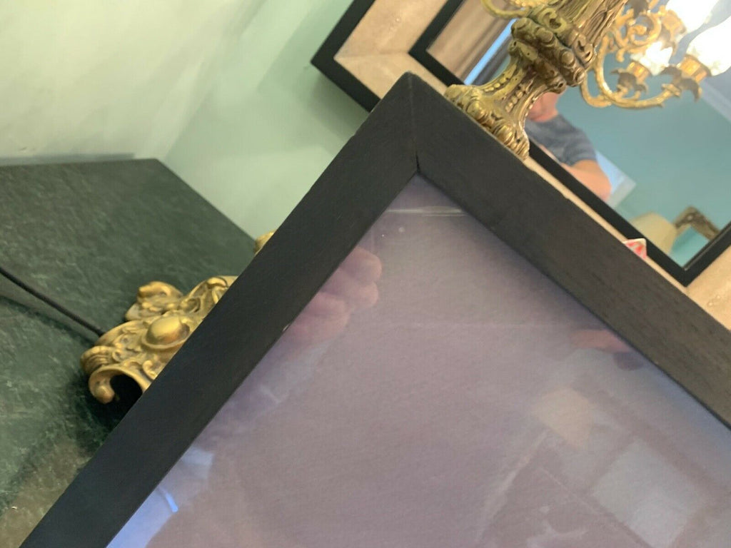 HUGE Cat de Rham & Amanda Eliasch oversized framed Art picture cost £2400